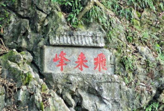 灵隐飞来峰景区人工资深讲解包团（每人送三支香+精美礼品一份）【江南禅宗祖庭灵隐寺，香火千年不绝，藏五百罗汉堂、药师殿等古建奇观；】