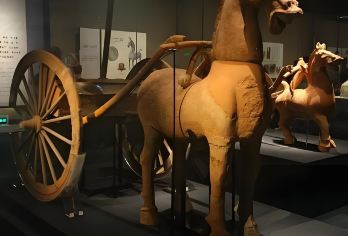 成都博物馆+人民公园+杜甫草堂+武侯祠+锦里一日游【可选英文导游|专车接送|行程可调|可定制行程】