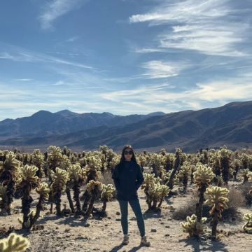 美国凤凰城+约书亚树国家公园-救赎山12h包车【精选老司机】