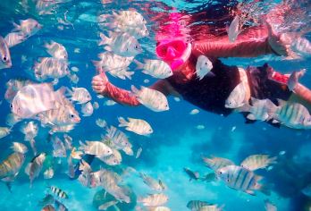 芭堤雅沙美珊岛浮潜一日游【含浮潜设备+水下摄影】【在Samae San岛附近，近距离接触热门动画电影《海底总动员》中著名的小丑鱼】