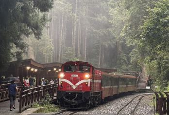 阿里山国家森林游乐区+奋起湖一日游【台中市区饭店出发】【阿里山拥有迷人的高山铁道和幽静的步道，是亲近自然、享受清新空气，以壮丽的日出、云海、樱花和神木着称。】
