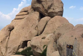 青岛崂山环线一日游-仰口-太清-青山渔村【出发时间可调|可选英文导游|行程可调|可定制行程】