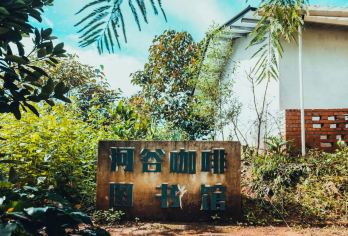 普洱太阳河森林公园+普洱·大开河(野鸭塘河谷庄园)一日游【[精致小团]小团出游，不奔波不赶路，睡醒出发；】