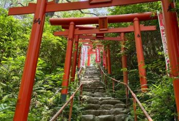 九州福冈大分一日游太宰府天满宫别府缆车由布院童话小镇金鳞湖【太宰府天满宫-供奉学问之神菅原道真公的天满宫总本宫】