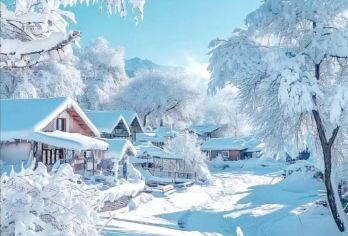 中国雪乡+大秃顶子山+冰雪画廊+驯鹿园【当地老司机行车安全性高，还可以做向导给您讲解当地您不知道的人土风情，景点简单介绍】