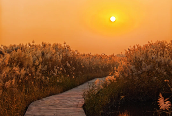 野鸭湖看日落1日游【中午出发】【往返大巴每人一座[根据人数安排车型]】