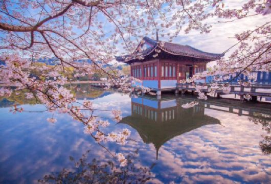 杭州西湖风景名胜景区包车1日游【杭州市区景点自由搭配】【省心省力：一站式解决交通+路线规划，轻松游览多个景点】