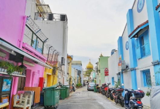 【新加坡景观一日游】乌节路+甘榜格南+滨海湾花园+圣淘沙【包车成团，畅游赤道明珠，体验魅力南洋】