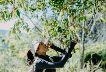 高黎贡山一日游5KM轻徒步【网红秋千+瀑降+咖啡+山野厨房】【当地专业向导带路，安全可靠，更有后勤+保险为您保驾护航。】