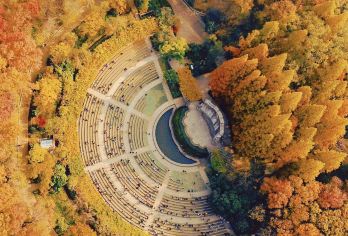 南京：总统府+鸡鸣寺+明城墙+玄武湖+红山动物园  导游 G【全程中文/英文/俄语/小语种服务，沟通无障碍，景点可调,多种车型可选】