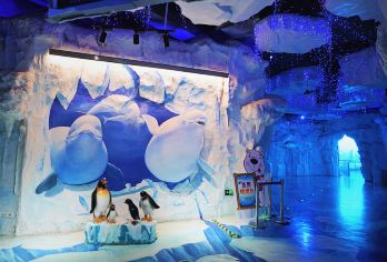 芜湖大白鲸海洋公园+芜湖古城一日游【2-8人小团】【畅游梦幻海洋，漫步千年古城，打卡特色地标[沉浸海洋奇趣与人文雅韵◆2-8 人精致小团]】