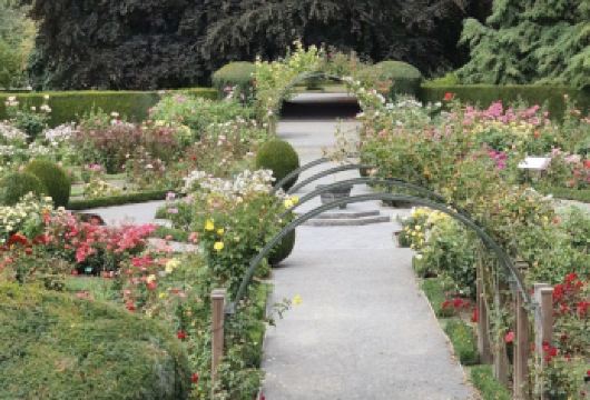 新西兰基督城市区梦娜维尔花园+哈格利公园一日游【省时省心+行程灵活+VIP包车一站式服务+中文司导】