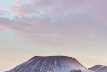 辉腾锡勒草原+乌兰哈达火山纯玩一日游 | 纯玩｜多套餐【[我们承诺]无购物无强制消费，自主发团不外拼，本地旅行社，小团套餐呼和浩特市区免费上门接送！！!】