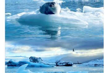 冰岛南部一日游：冰河湖+钻石冰沙滩+维克小镇【雷克雅未克往返，市区接送服务！】