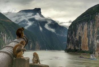 奉节出发 白帝城·瞿塘峡乘水上巴士体验三峡原始风情-巫山散团【2-8人小团/巫山散团/体验三峡原生态美貌】