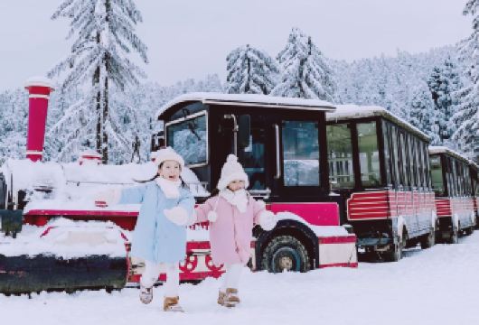 仙女山国家森林公园一日游【网红波浪公路丨轻松休闲丨深度漫游】【[优先品质]纯玩无购物丨无隐形消费丨旅游意外险】