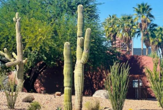 美国凤凰城-往返图森-历史文化线-包车精选【专属客服和本地中文司机，一家一团包车】