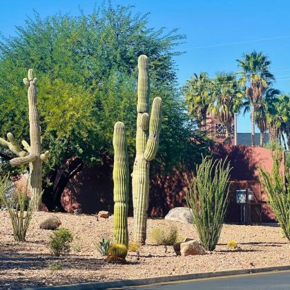 美国凤凰城-往返图森-历史文化线-包车精选