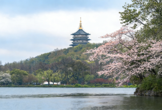 钱塘说&杭州雷峰塔西湖游船浙博孤山馆·半日文化闭环之旅【“从传说走进历史”——白蛇传IP × 真实文物沉浸之旅】