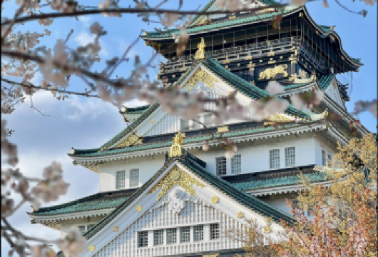 大阪城公園+大阪城天守閣+心齋橋+通天閣+新世界本通店街日游【[定制包车游]专享中文司机独立包车，市区范围酒店上门接送，行程路线可根据个人需求调整。】