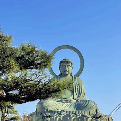 金泽出发（雨晴海岸-高冈大佛-瑞龙寺-玻璃美术馆-兼六园）