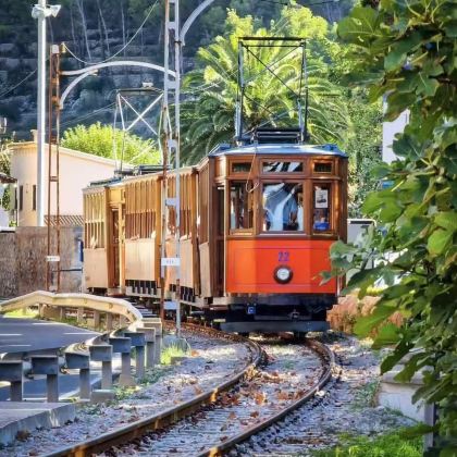 马略卡岛中文包车一日游【打卡果冻海/中文司机/酒店接送】