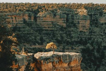 美国拉斯维加斯+66号公路+胡佛水坝+大峡谷南峡一日包车游【打卡有“沙漠之钻”美誉的——胡佛水坝】