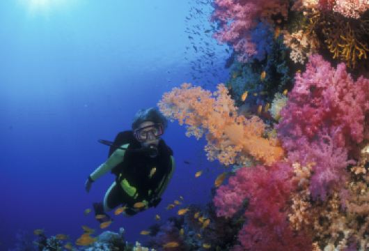 埃及达哈卜蓝洞+阿布加卢姆一日游【浮潜+沙漠骑行之旅】【天天发团 一人起拼团 不收单人差 结识国际友人 经济出行之选】