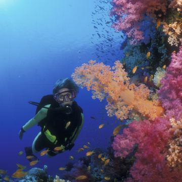 埃及达哈卜蓝洞+阿布加卢姆一日游【浮潜+沙漠骑行之旅】