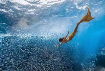 万宁洲仔岛+神州半岛一日游【浮潜不限时+浮潜照片视频】【岛周边海底分布有崎岖多姿的珊瑚礁，品种繁多的水生物与色彩斑斓的热带鱼】