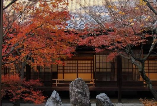 日本京都-二三年坂清水寺天龙寺伏见稻荷大社[可大阪【精选】【包车一日游，解锁旅行新方式！独立车辆配备经验丰富的老司机，为您量身打造专属行程。】