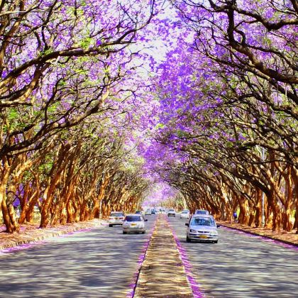 津巴布韦哈拉雷市区一日游：探索城市魅力与自然奇观