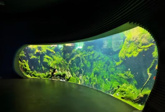 上海温室花园（水下森林）+上海千古情+外滩一日游【专车接送|行程可调|可定制行程】