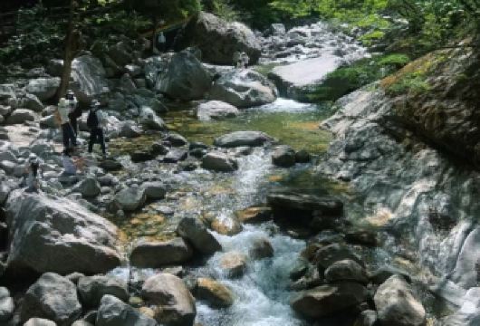 太平国家森林公园包车游*亲子家庭尊享私家团/打卡北方“九寨沟【可私人订制-包车游私家团-天天发团-当日往返-直达景区-西安市三环内酒店上门接】