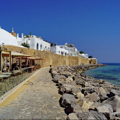 突尼斯+哈马马特+苏塞一日游（私家vip服务）