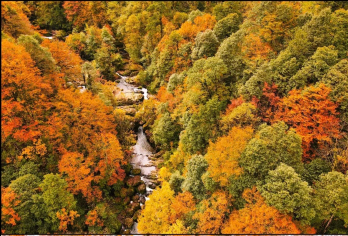 成都龙苍沟叠翠溪景区纯玩一日游+超美秋色+林间徒步【车上破冰互动，结识同好，告别独自出行的孤单与不便】