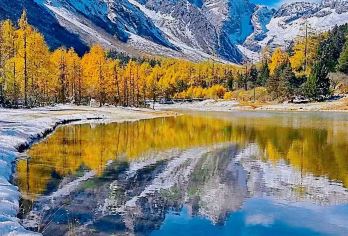 2-8人团·毕棚沟+都江堰南桥1日游|三宝·氧气·3环包接【[经典纯玩]升级2-8人团；超高自由度，毕棚沟+都江堰南桥夜景；川西短线一日游经典推荐！】