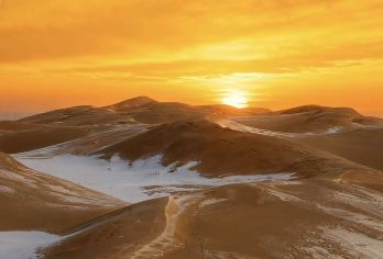 包头库布齐沙漠一日游【18人小包团 上门接送 含280套票】【[旅行畅游]包头出发，天天发团，一天往返，带您感受不一样的蒙古族风土人情。】