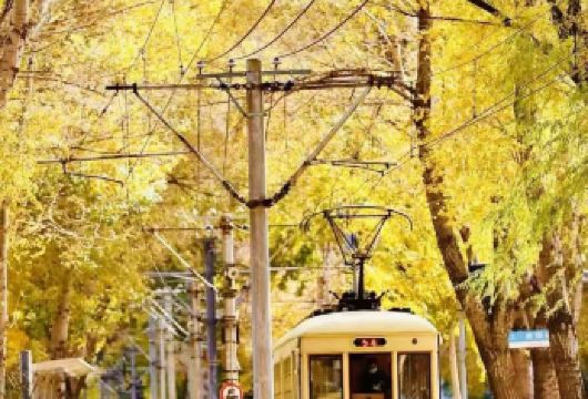 伪满皇宫-博物院-长影旧址博物馆-南湖公园-桂林路美食街日活动【行程丰富多元伪满历史+电影文化+城市地标】