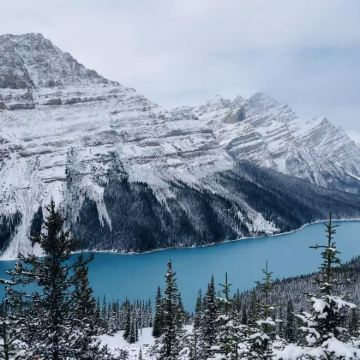 加拿大卡尔加里班夫国家公园定制 【中文司机+行程免费规划】