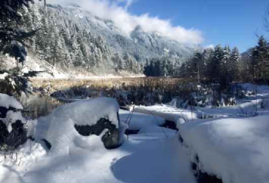 四川四姑娘山双桥沟包车一日游【冬日限定雪景/可选英文导游】【[充足时长・玩得尽兴]含 12 小时专属包车时长，行程紧凑，游玩时间充足，打卡拍照更从容；】
