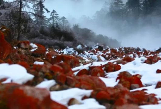 成都+海螺沟+贡嘎雪山一日游【徒步/野趣/湖泊/雪山/疗愈】【[度假精选]一单一团+自由出发+冰川体验+美食推荐+拍摄属于你的风景大片】