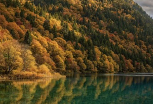 【九寨沟包车一日游】松潘黄龙九寨站|九寨黄龙机场-上门接送【可选英文导游|专车接送|行程可调|可定制行程】