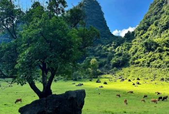 广西柳州狼口泉+香桥岩+鹿鸣谷+响水石林+响水瀑布一日游【“狼口泉”因泉水源自一个形似狼口的天然溶洞而得此名，泉水清澈，绿如翡翠，探险未解之谜的“地下龙宫”】