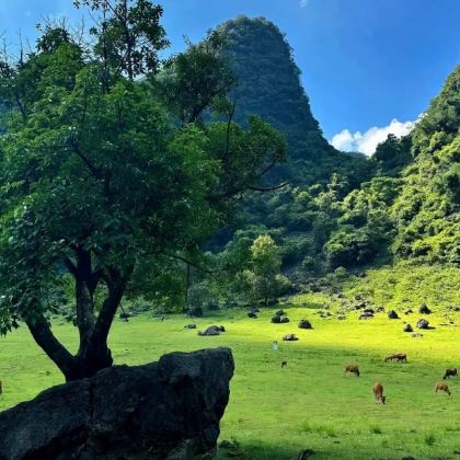 广西柳州狼口泉+香桥岩+鹿鸣谷+响水石林+响水瀑布一日游