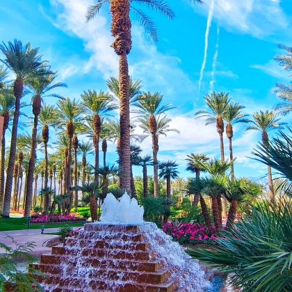 美国洛杉矶/救赎山-沙漠奥莱-棕榈泉~包车【精选老司机】