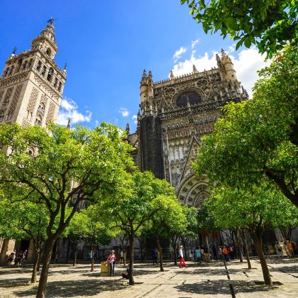 西班牙+塞维利亚王宫+塞维利亚大教堂+斗牛场+广场-中文地陪