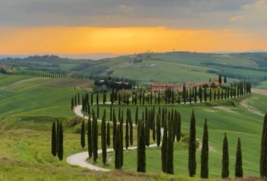 意大利锡耶纳老城+奥尔恰谷一日游【中文私享包车/行程定制】【尊享一对一高端行程定制，豪华包车专属礼遇，专业旅行顾问24小时恭候垂询。】