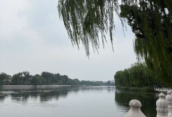 恭王府什刹海+老北京胡同+人力黄包车体验【特色纯玩一日游】【体验人力黄包车，沉浸式感受老北京烟火气】