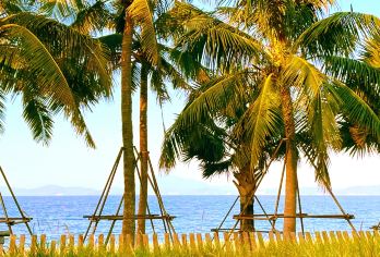 滨海栈道+大梅沙+中英街+地王观光+世界之窗外景【含中餐】【天天发团，含中餐、市区酒店可上门接】